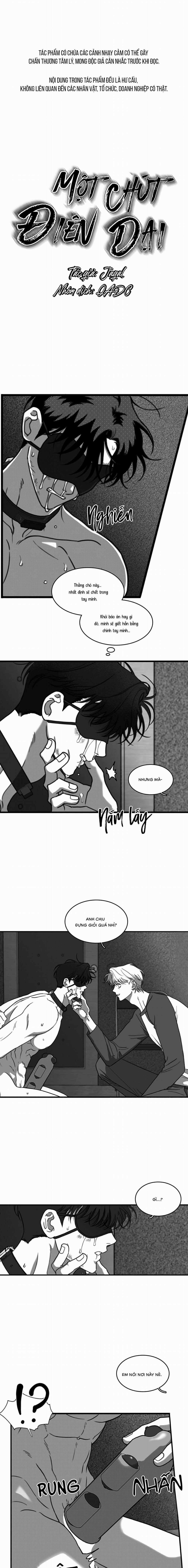 Một Chút Điên Dại 21 trang 0