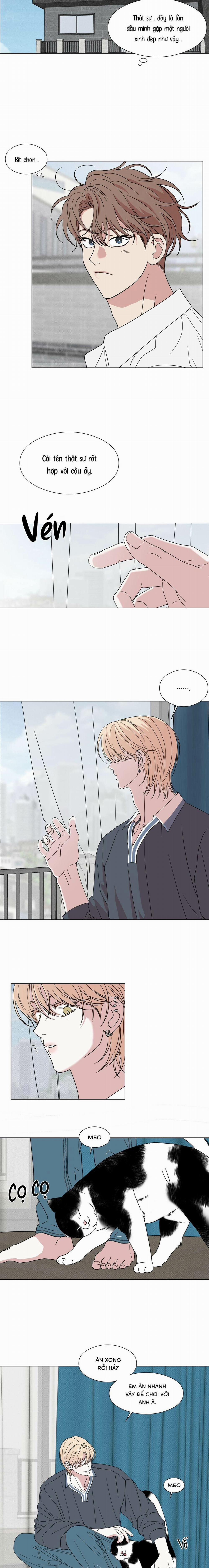 Một Chút Điên Dại 28 trang 8