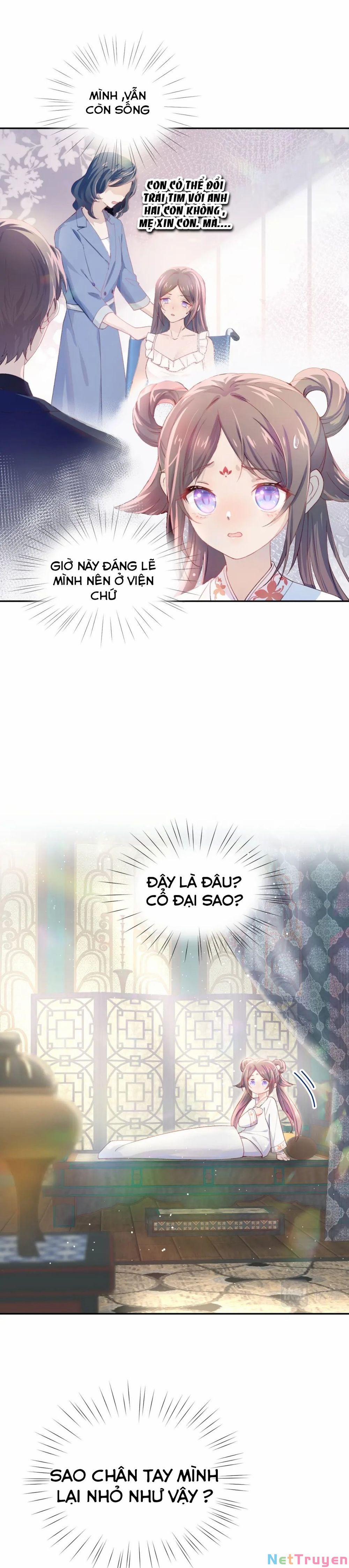 Một Đêm Bệnh Kiều Đột Nhiên Tới 1 trang 4