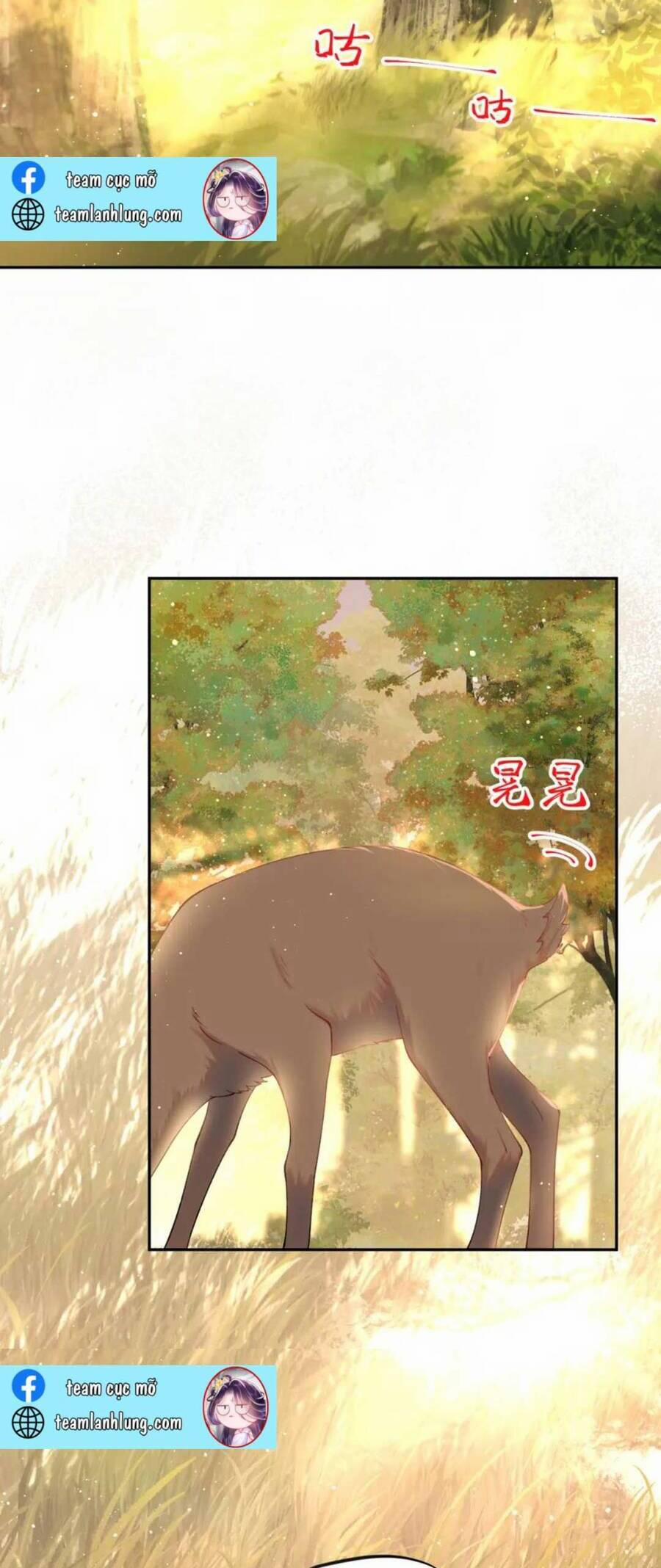 Một Đêm Bệnh Kiều Đột Nhiên Tới 114 trang 26