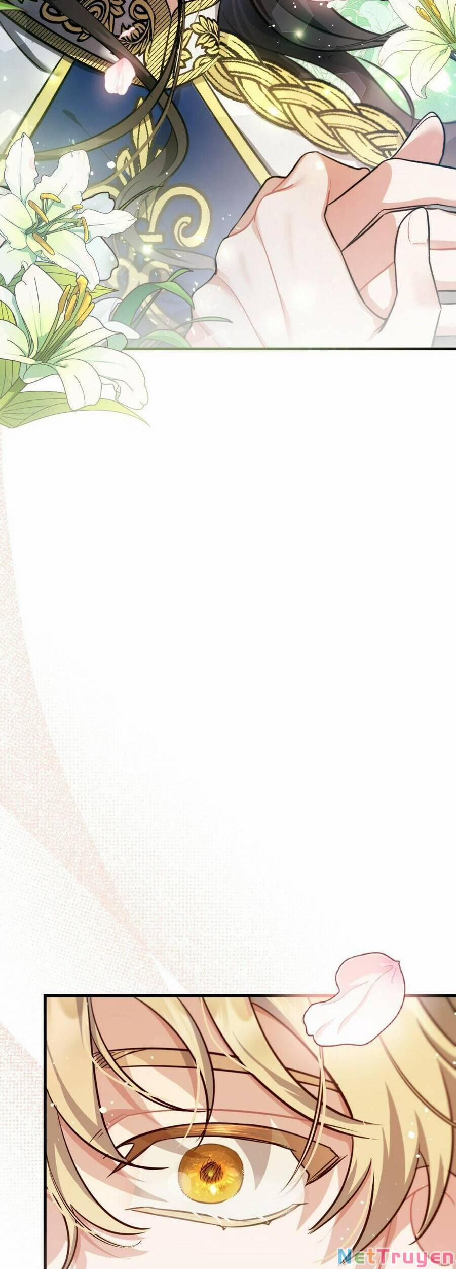 Một Đêm Không Bóng 14 trang 31