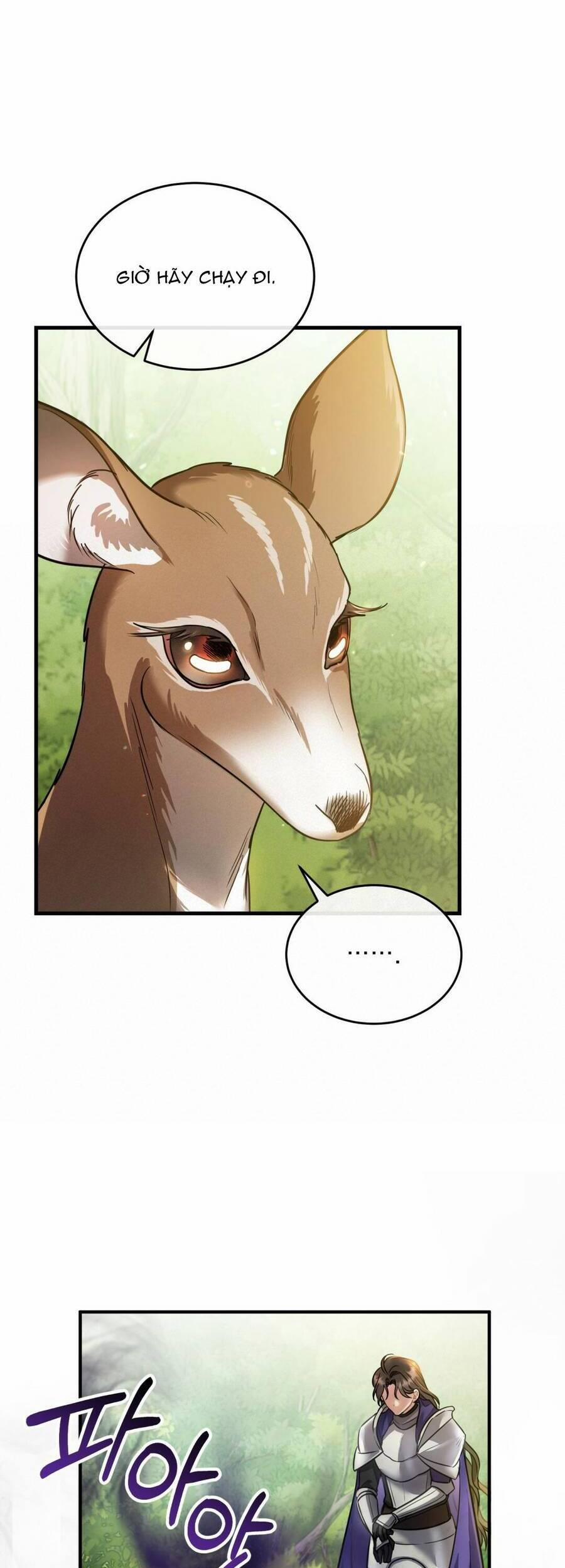 Một Đêm Không Bóng 17 trang 8