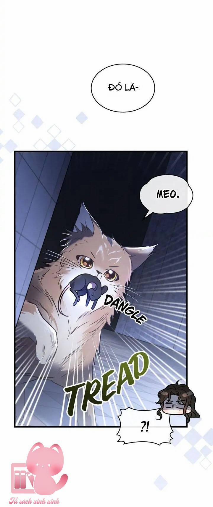 Một Đêm Không Bóng 20 trang 43