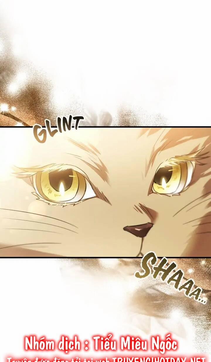 Một Đêm Không Bóng 54 trang 34