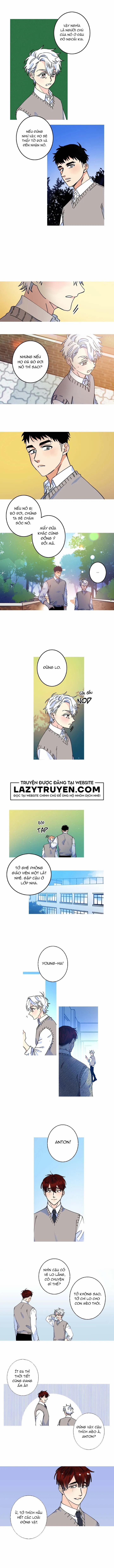 Một Đường Milky 11 trang 1