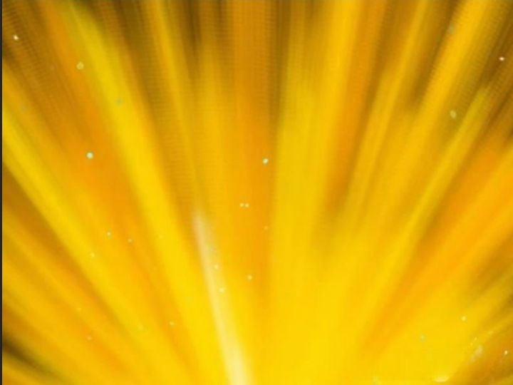 Một Lần Bất Cẩn Vang Danh Thiên Hạ 72 trang 0