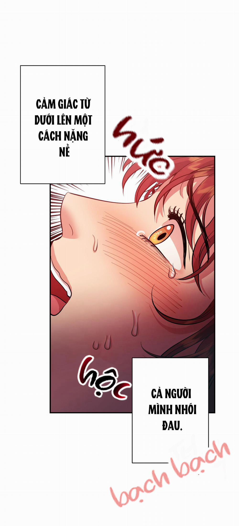 Một Lòng Một Dạ 12 trang 11