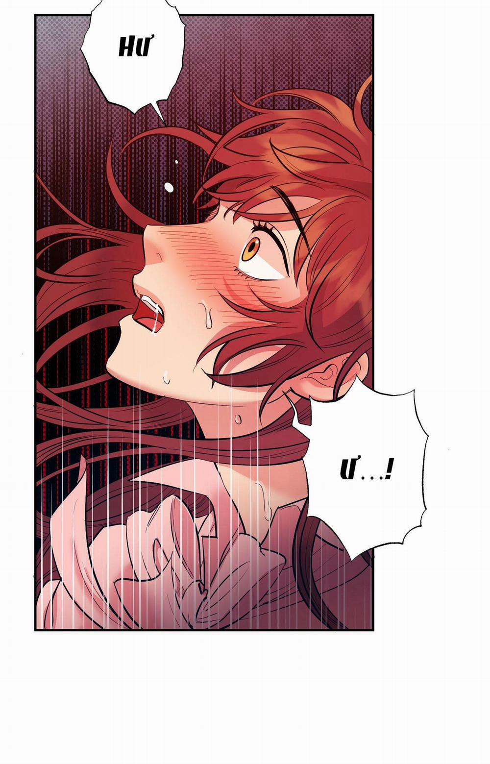 Một Lòng Một Dạ 12 trang 2