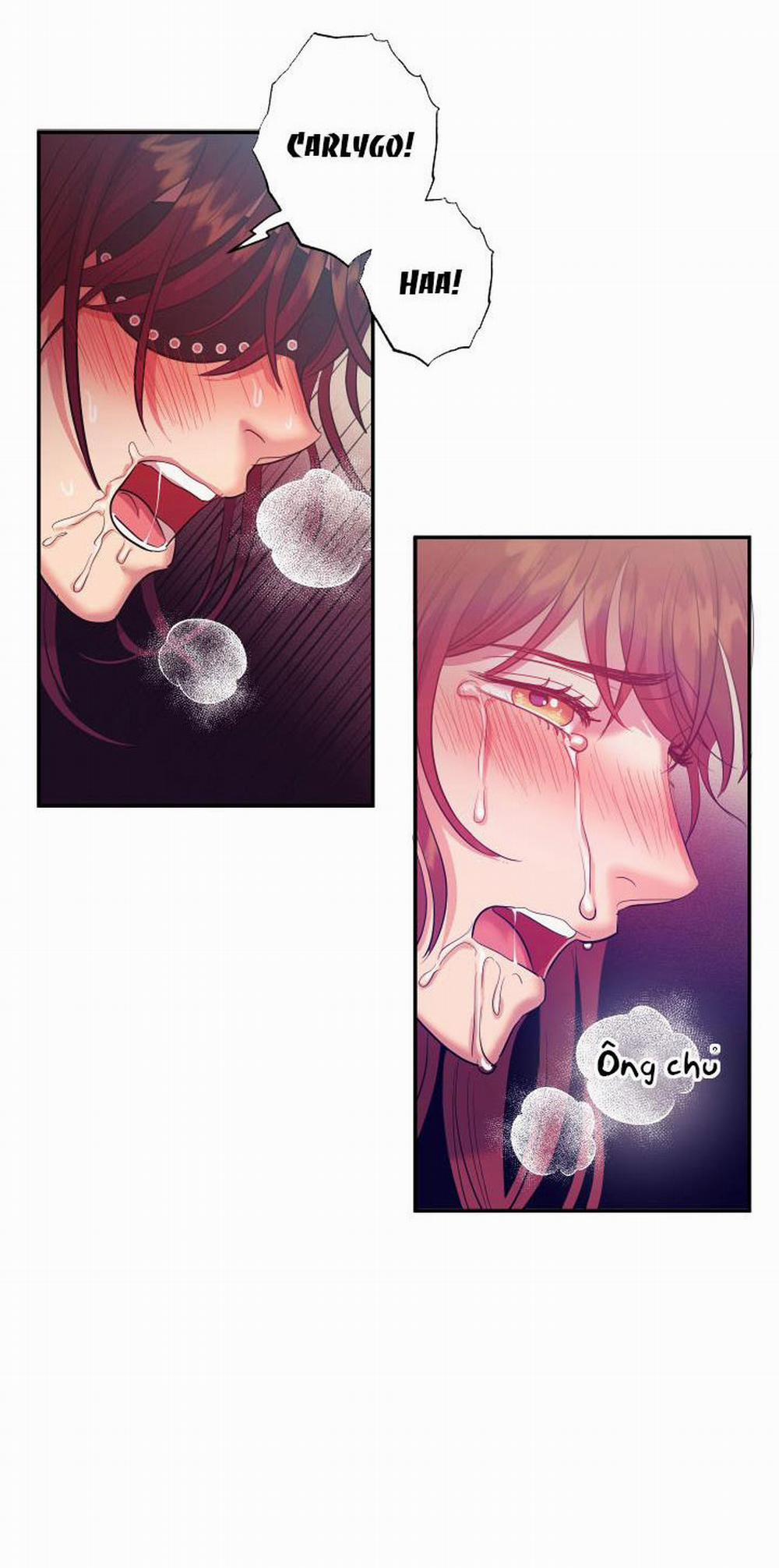 Một Lòng Một Dạ 16.2 trang 14