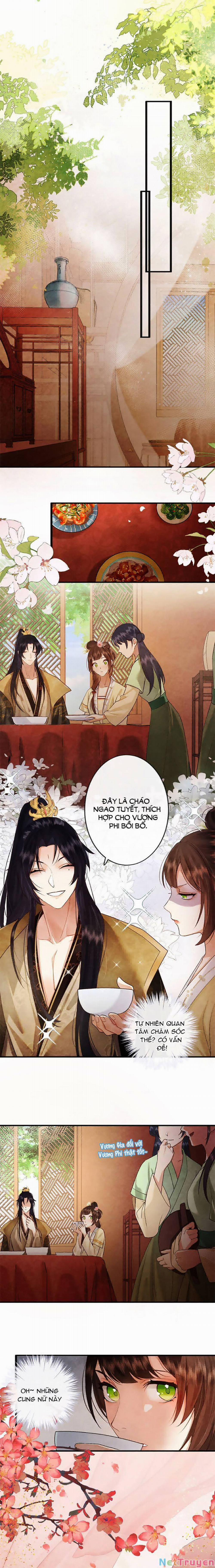 Một Ngàn Lần Thử Giết Chết Nam Chính 4 trang 6