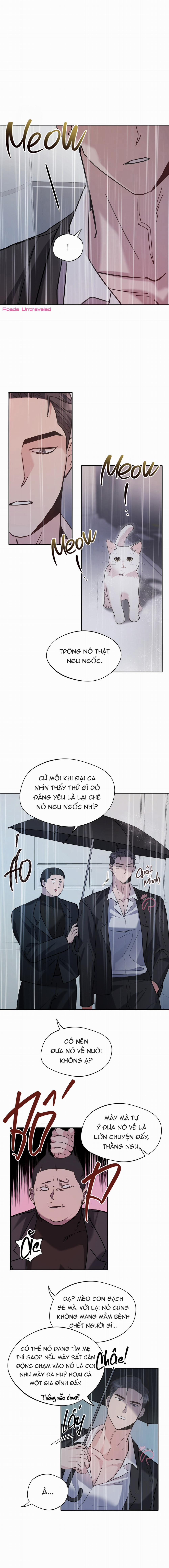 Một Ngày Nọ, Tên Xã Hội Đen Tìm Đến 1 trang 11