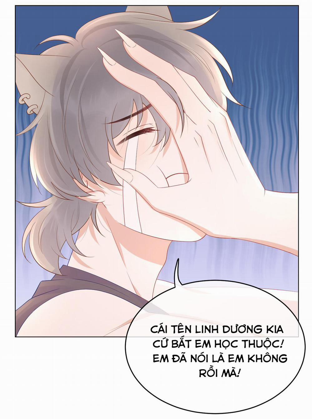 Một Ngụm Ăn Cả Thỏ Con 11 trang 11