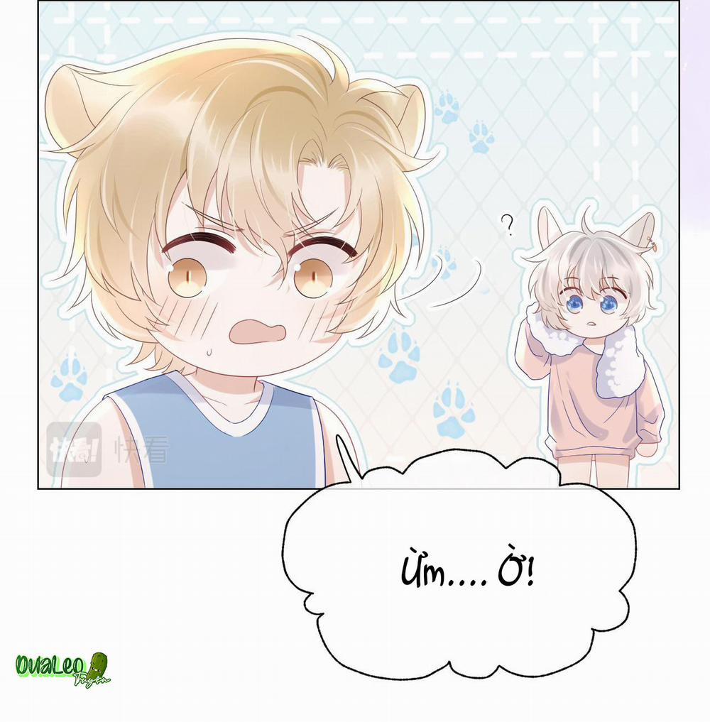 Một Ngụm Ăn Cả Thỏ Con 11 trang 6