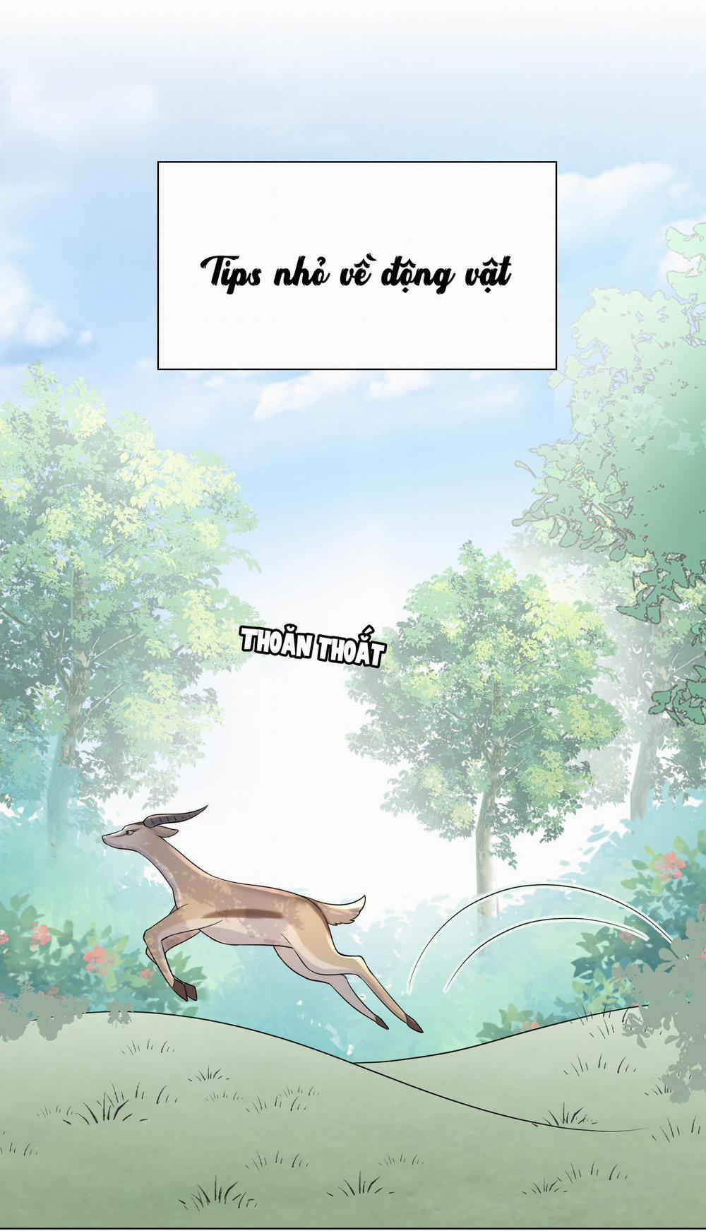 Một Ngụm Ăn Cả Thỏ Con 12 trang 43