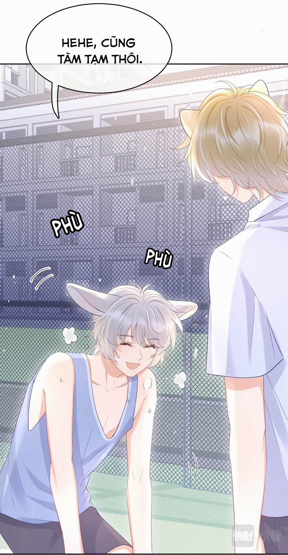 Một Ngụm Ăn Cả Thỏ Con 12 trang 8