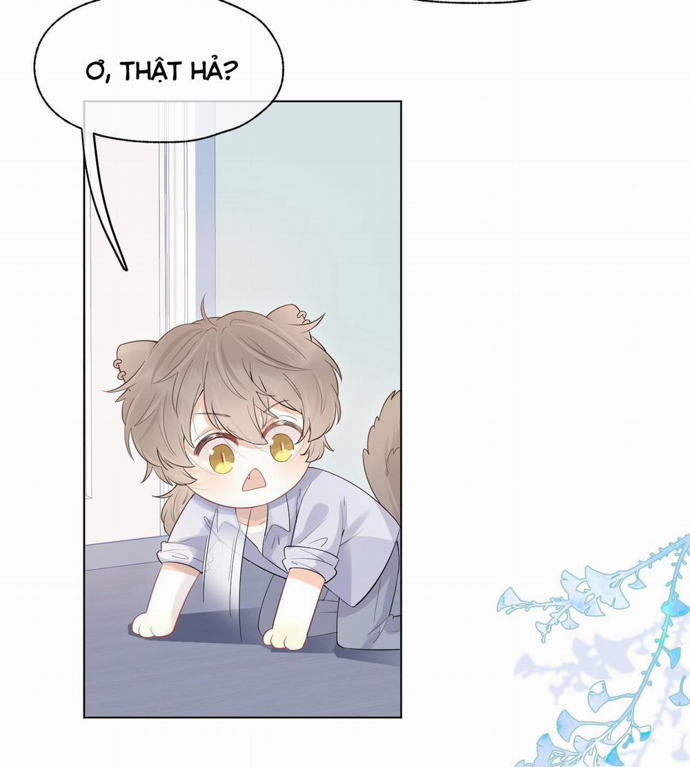 Một Ngụm Ăn Cả Thỏ Con 13 trang 24