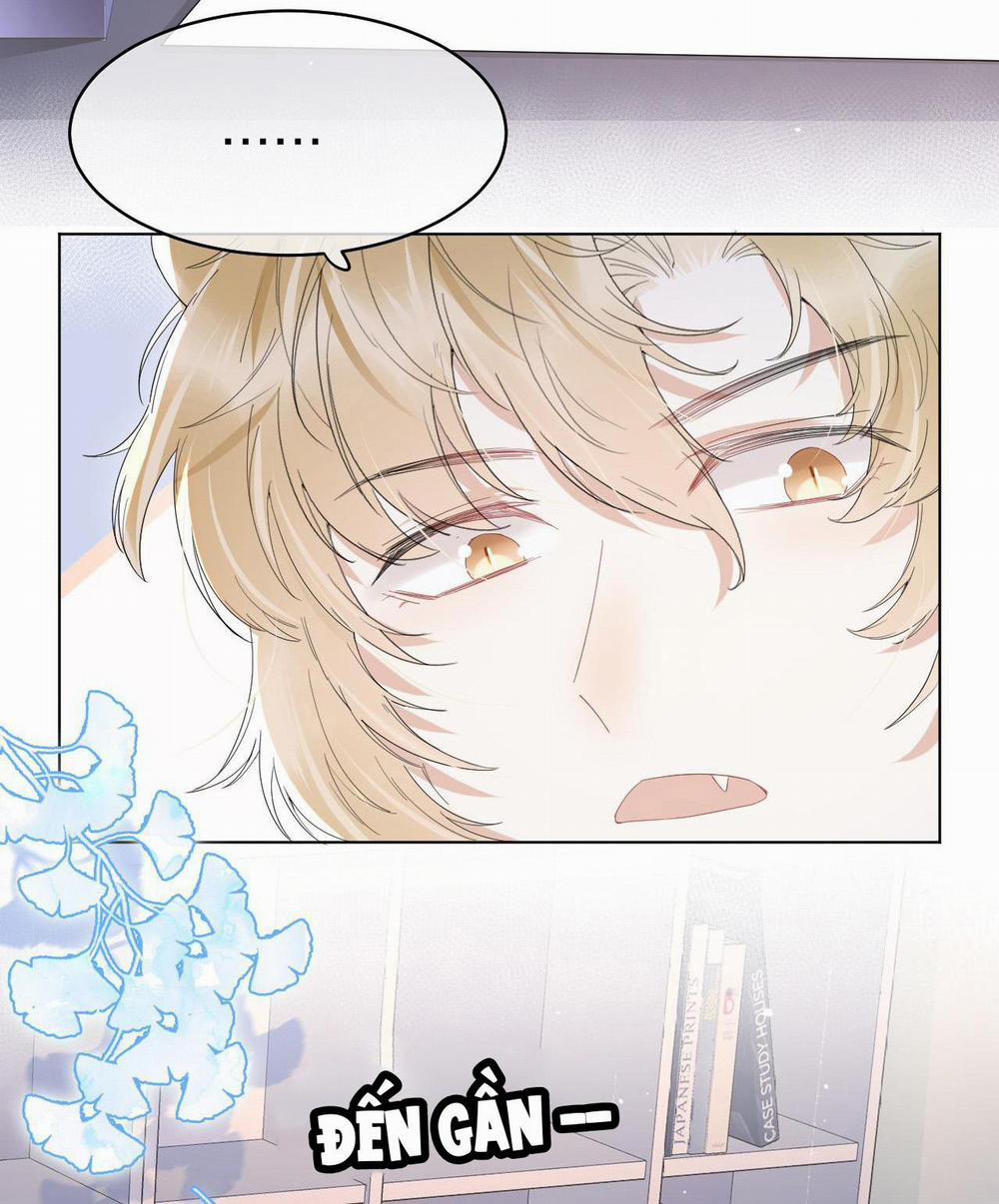 Một Ngụm Ăn Cả Thỏ Con 14 trang 5