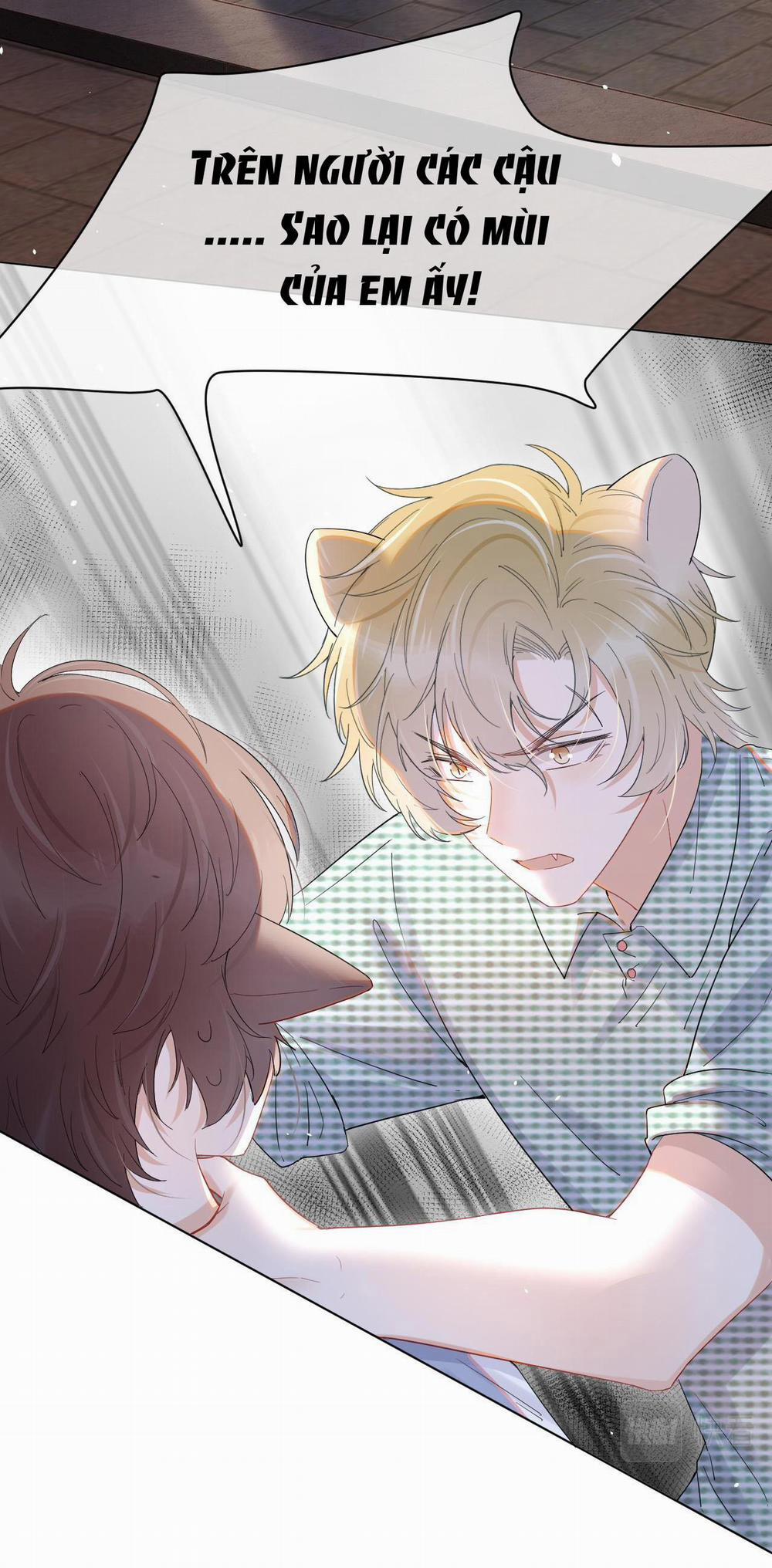 Một Ngụm Ăn Cả Thỏ Con 16 trang 31