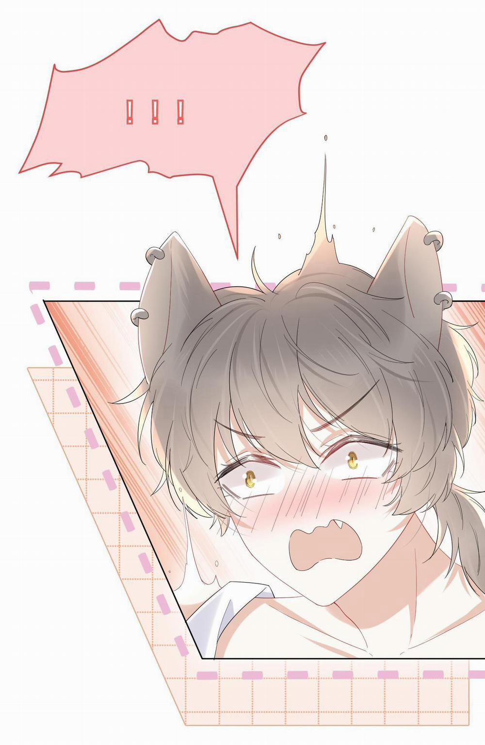 Một Ngụm Ăn Cả Thỏ Con 18 trang 44