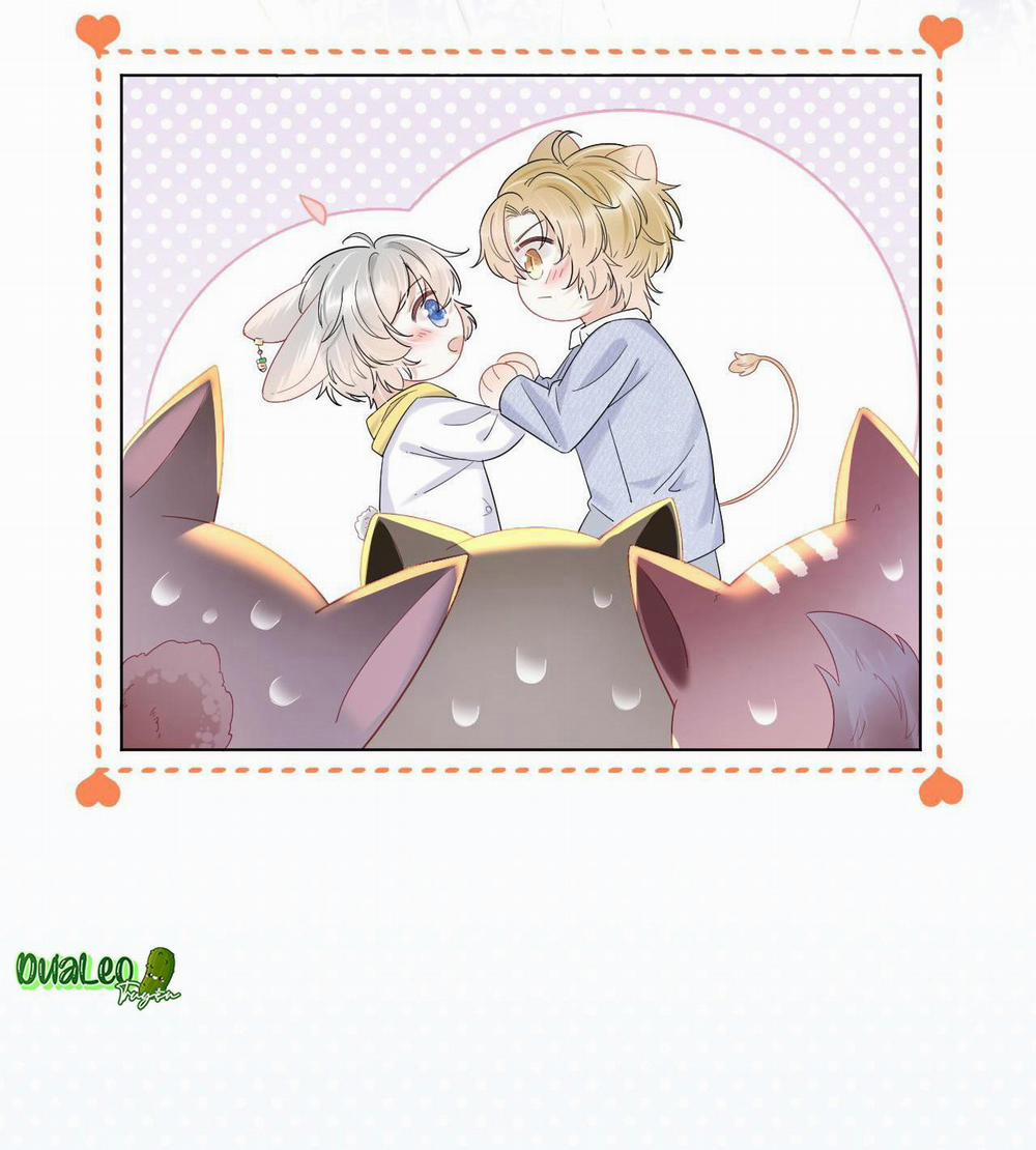 Một Ngụm Ăn Cả Thỏ Con 19 trang 47