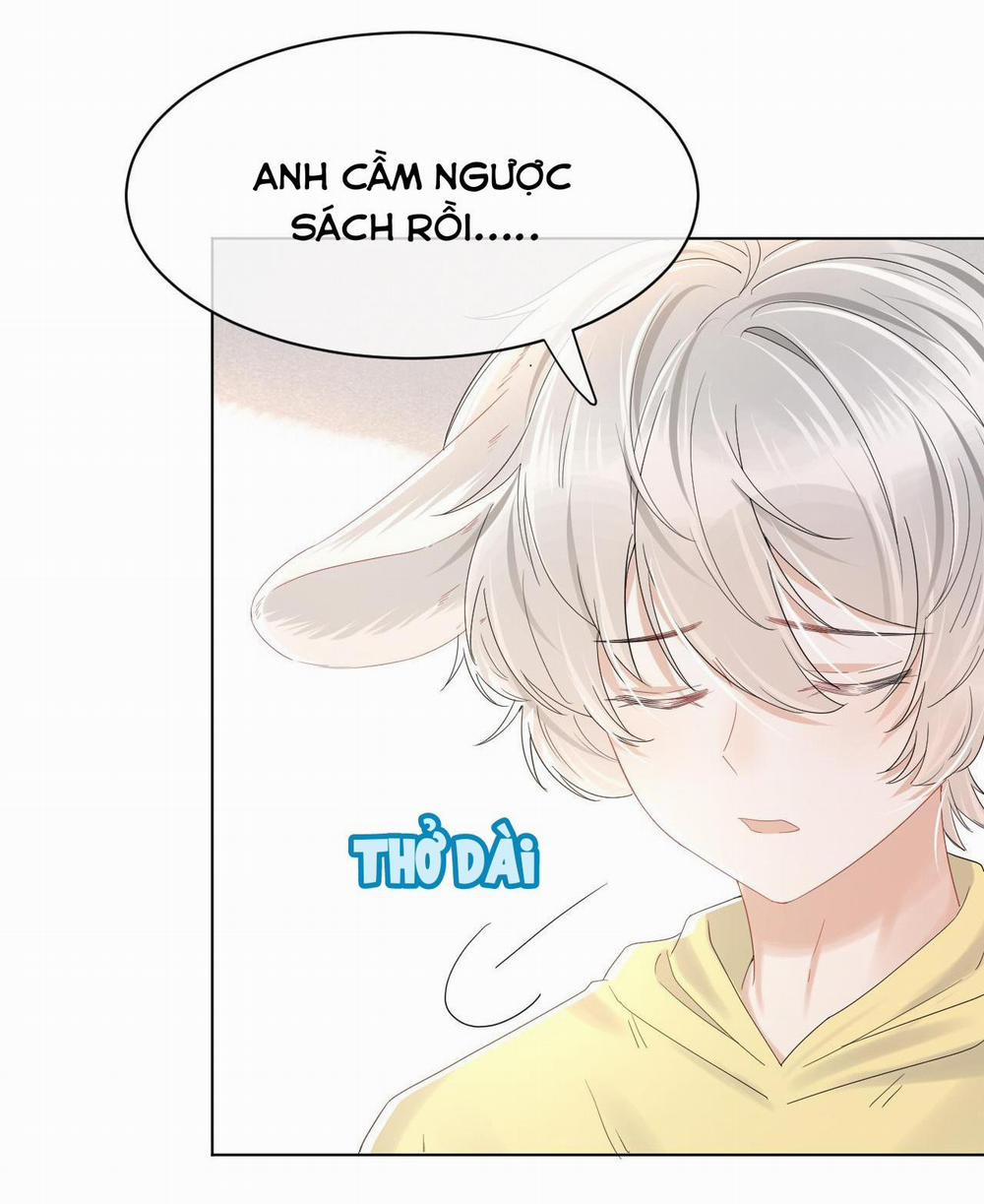 Một Ngụm Ăn Cả Thỏ Con 28 trang 29