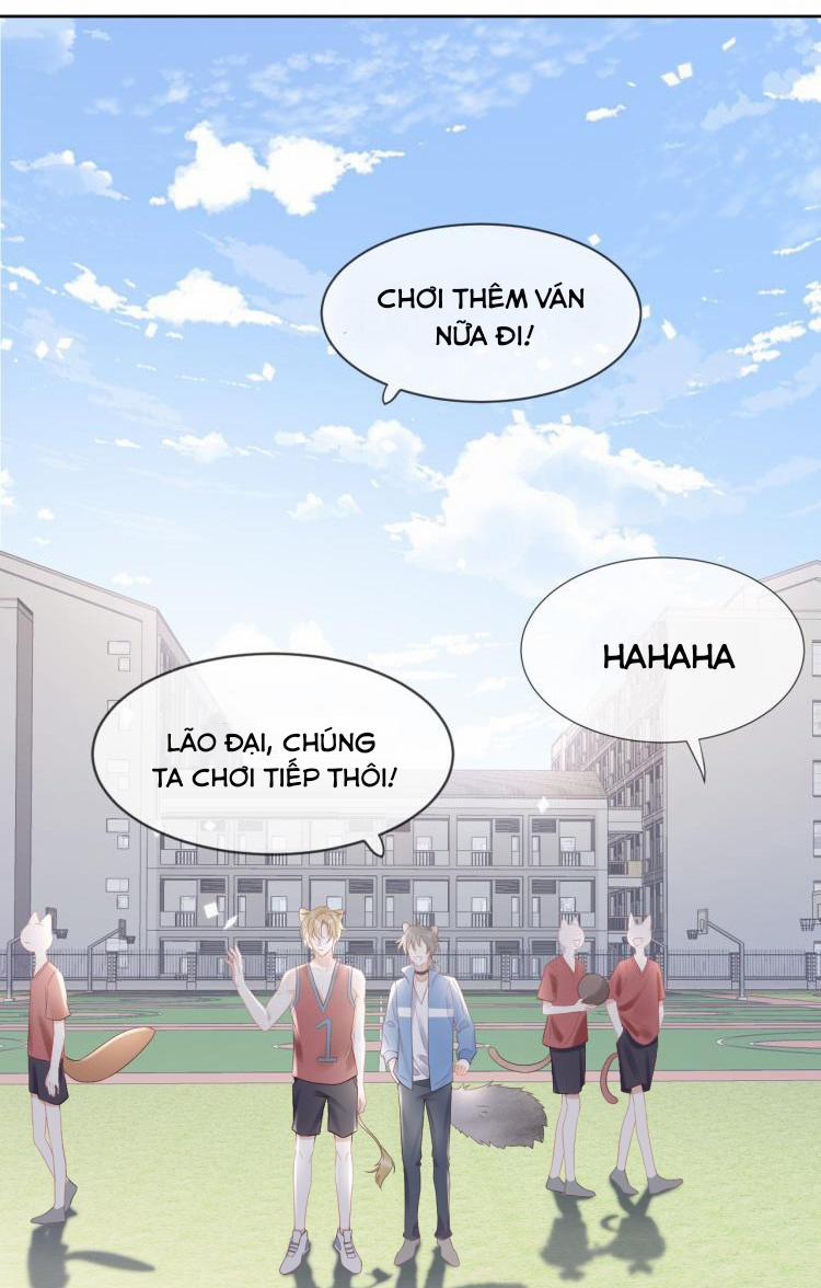 Một Ngụm Ăn Cả Thỏ Con 3 trang 1