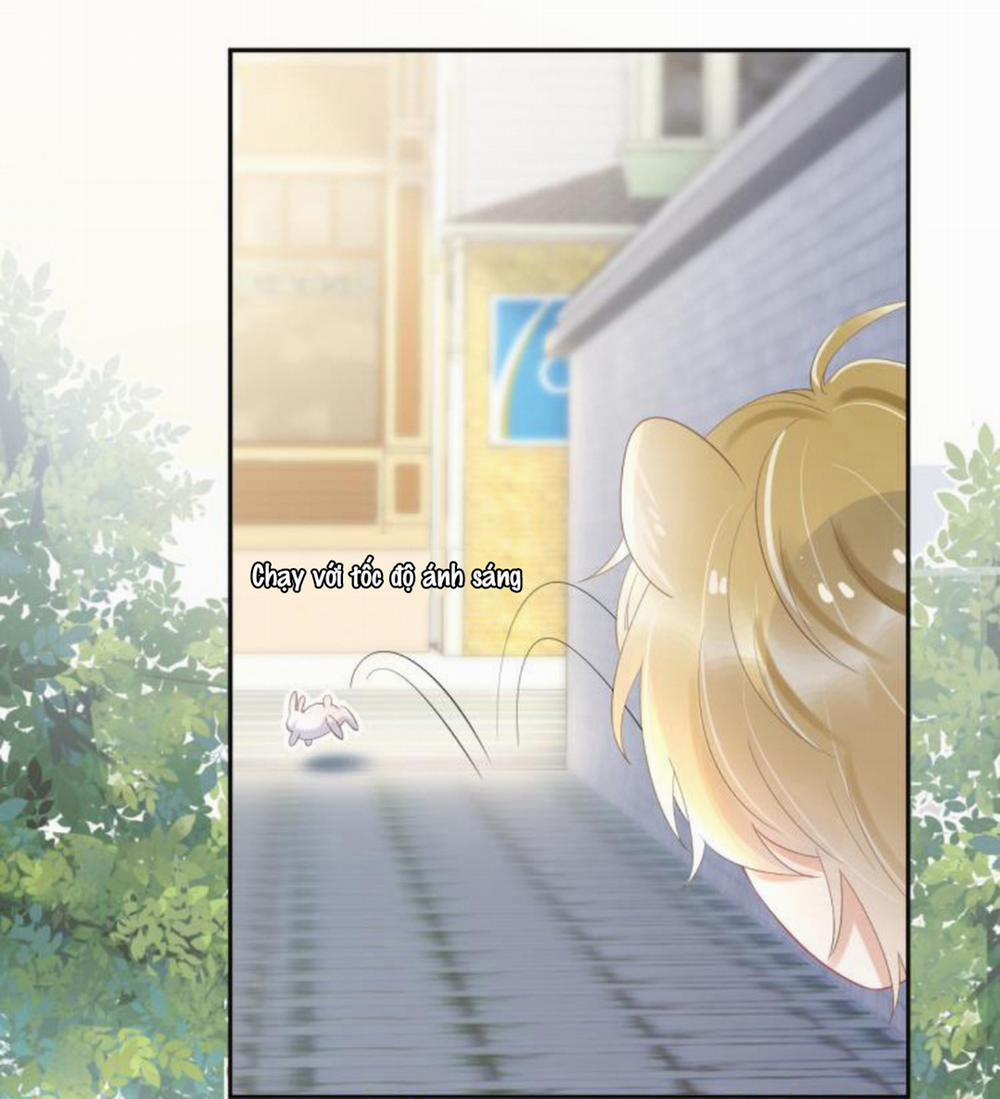 Một Ngụm Ăn Cả Thỏ Con 3 trang 46