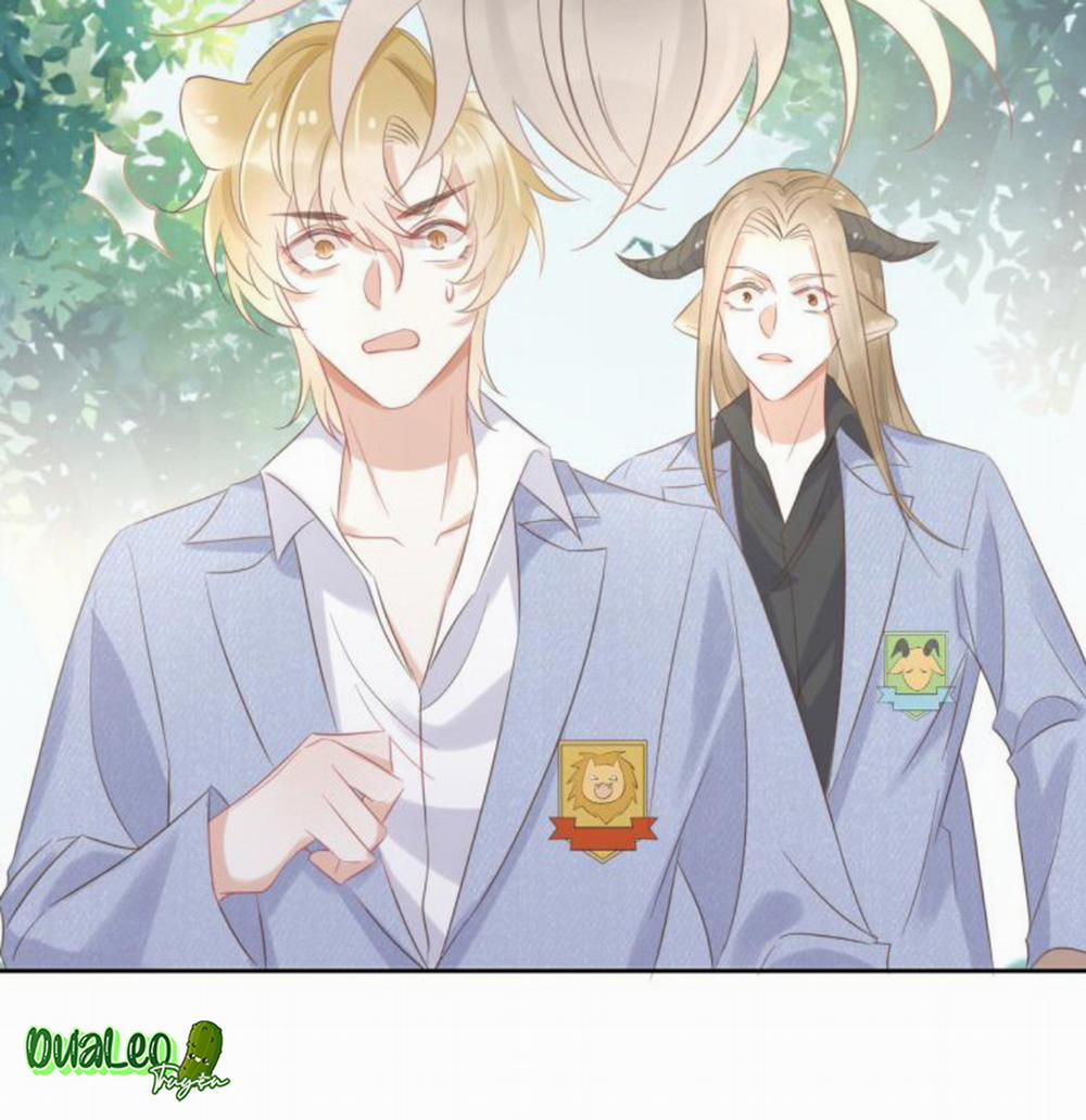 Một Ngụm Ăn Cả Thỏ Con 3 trang 66