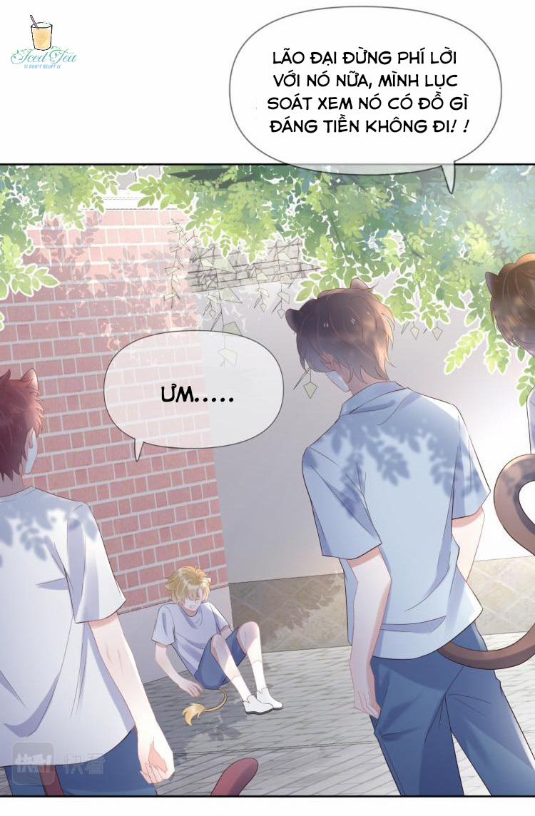 Một Ngụm Ăn Cả Thỏ Con 3 trang 7