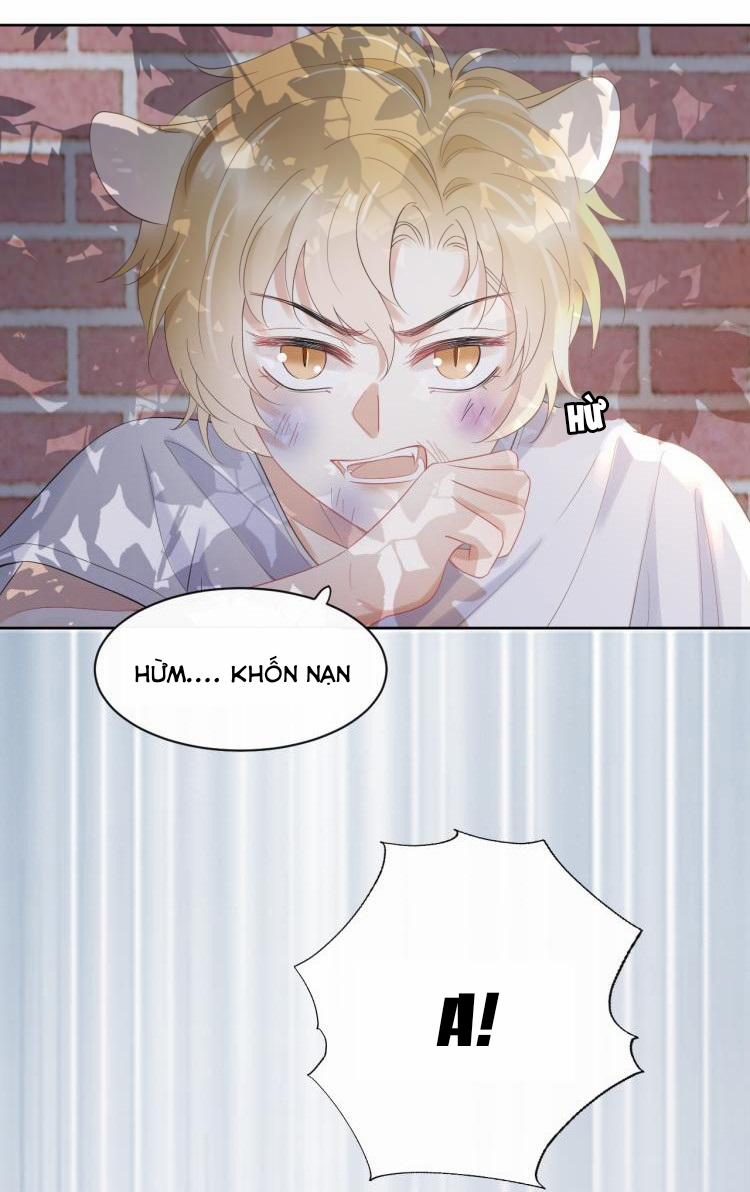 Một Ngụm Ăn Cả Thỏ Con 3 trang 8