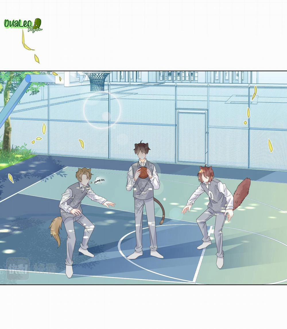 Một Ngụm Ăn Cả Thỏ Con 32 trang 34