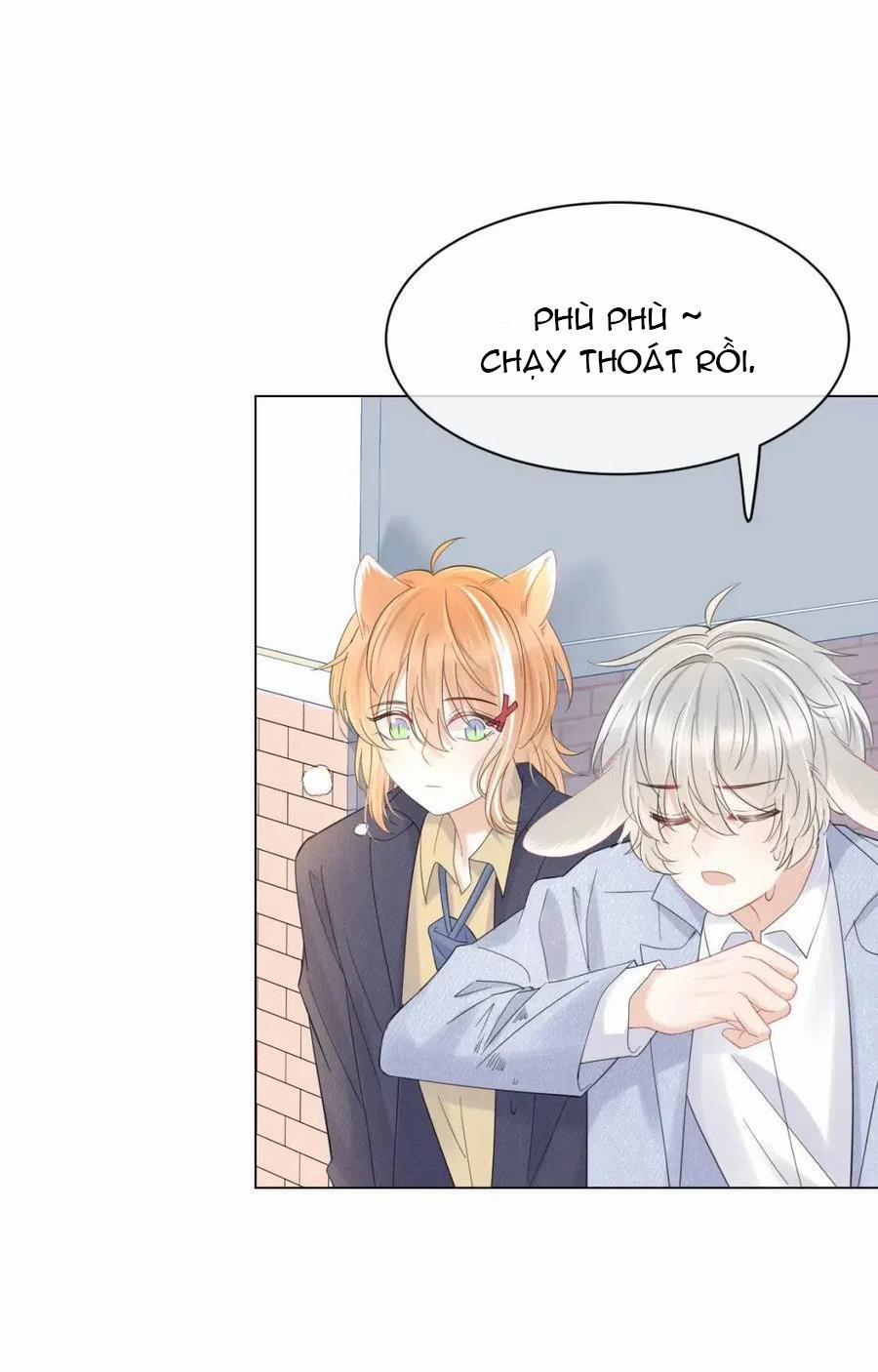 Một Ngụm Ăn Cả Thỏ Con 33 trang 19