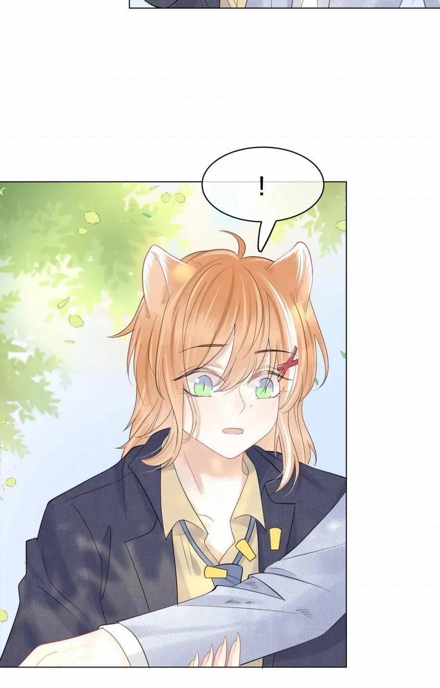 Một Ngụm Ăn Cả Thỏ Con 33 trang 22