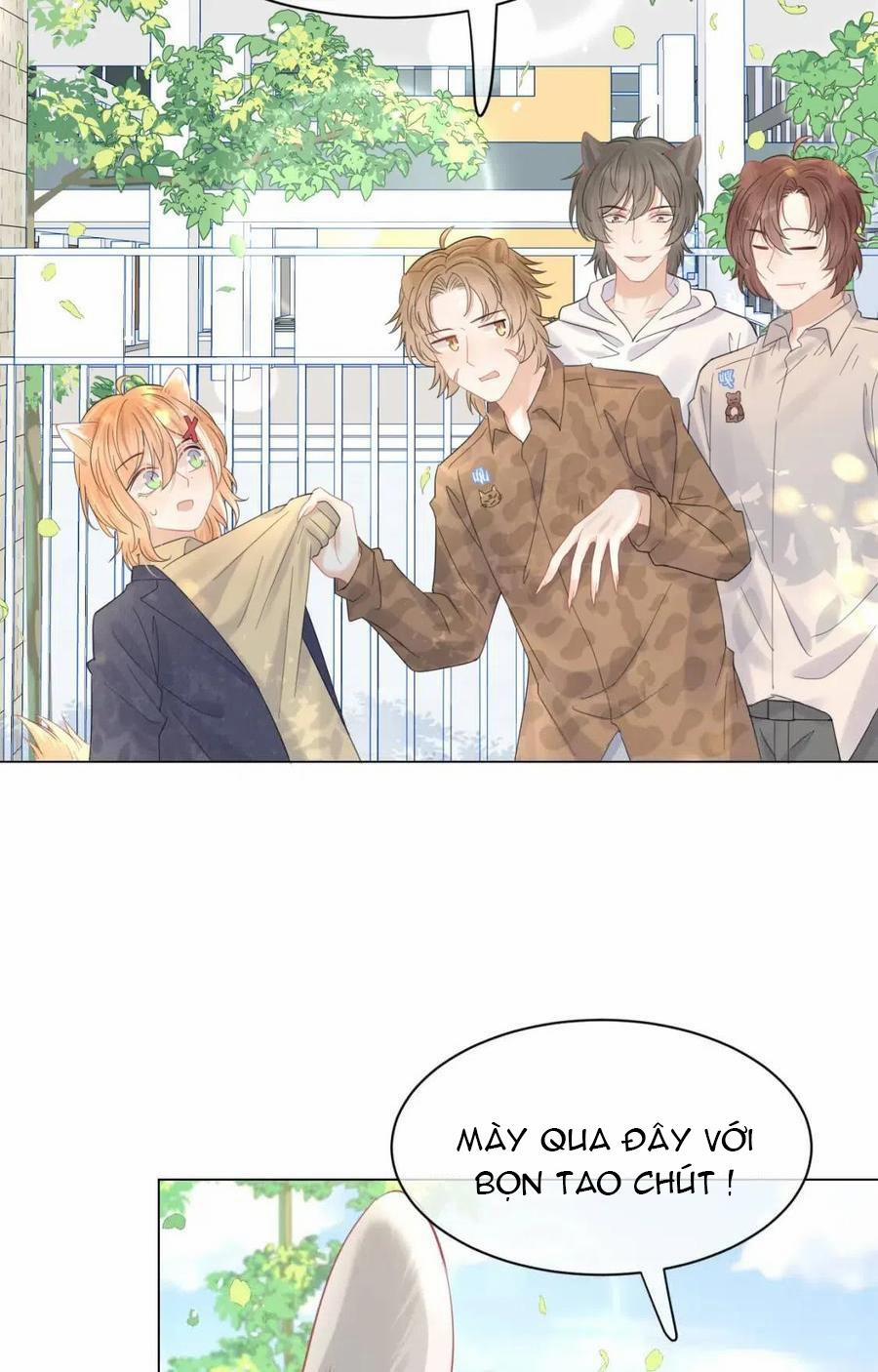 Một Ngụm Ăn Cả Thỏ Con 33 trang 5