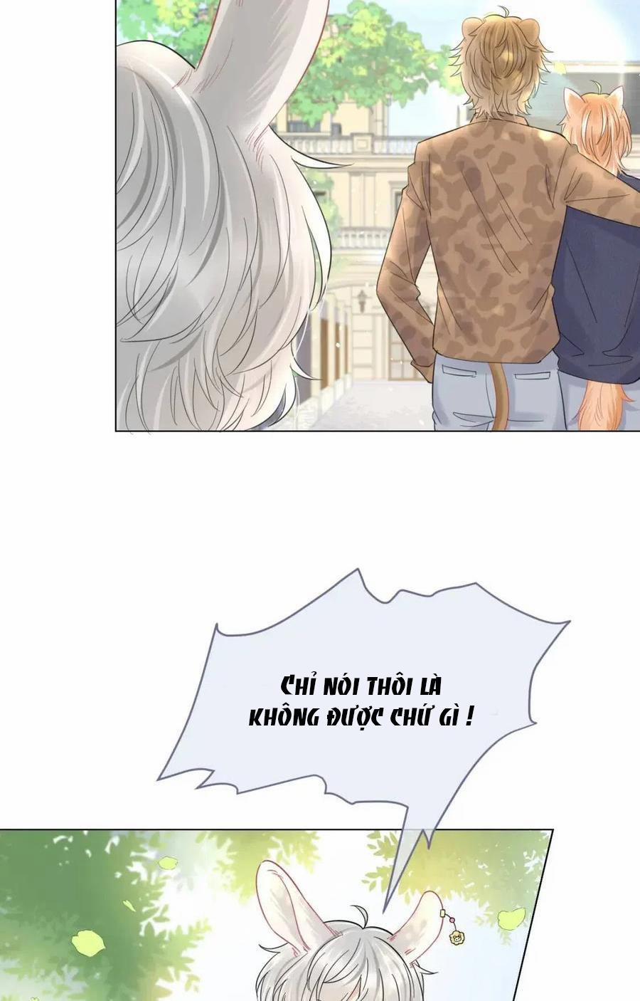 Một Ngụm Ăn Cả Thỏ Con 33 trang 6