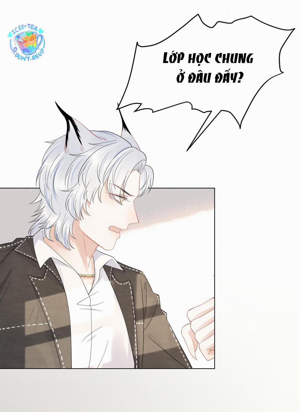 Một Ngụm Ăn Cả Thỏ Con 35 trang 40