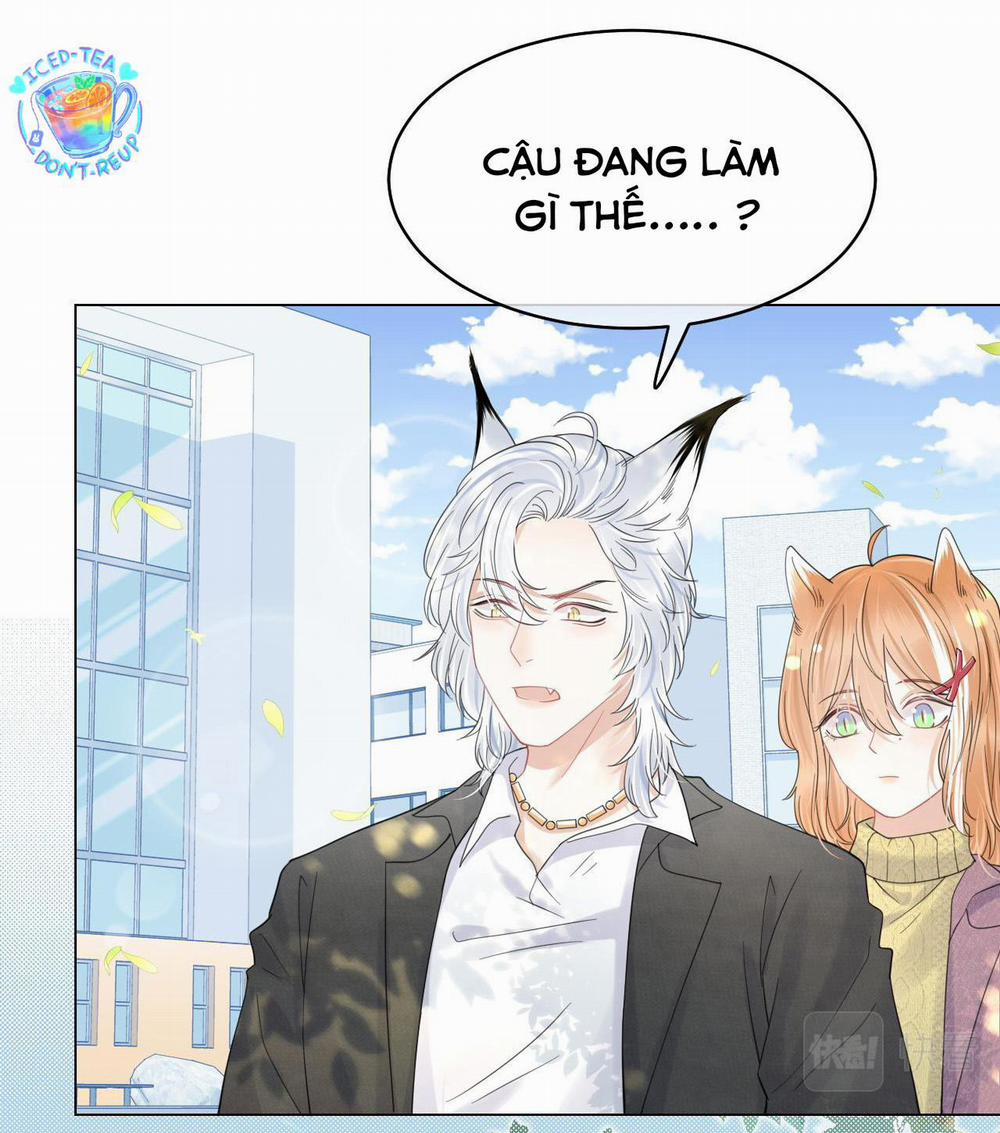 Một Ngụm Ăn Cả Thỏ Con 36 trang 1