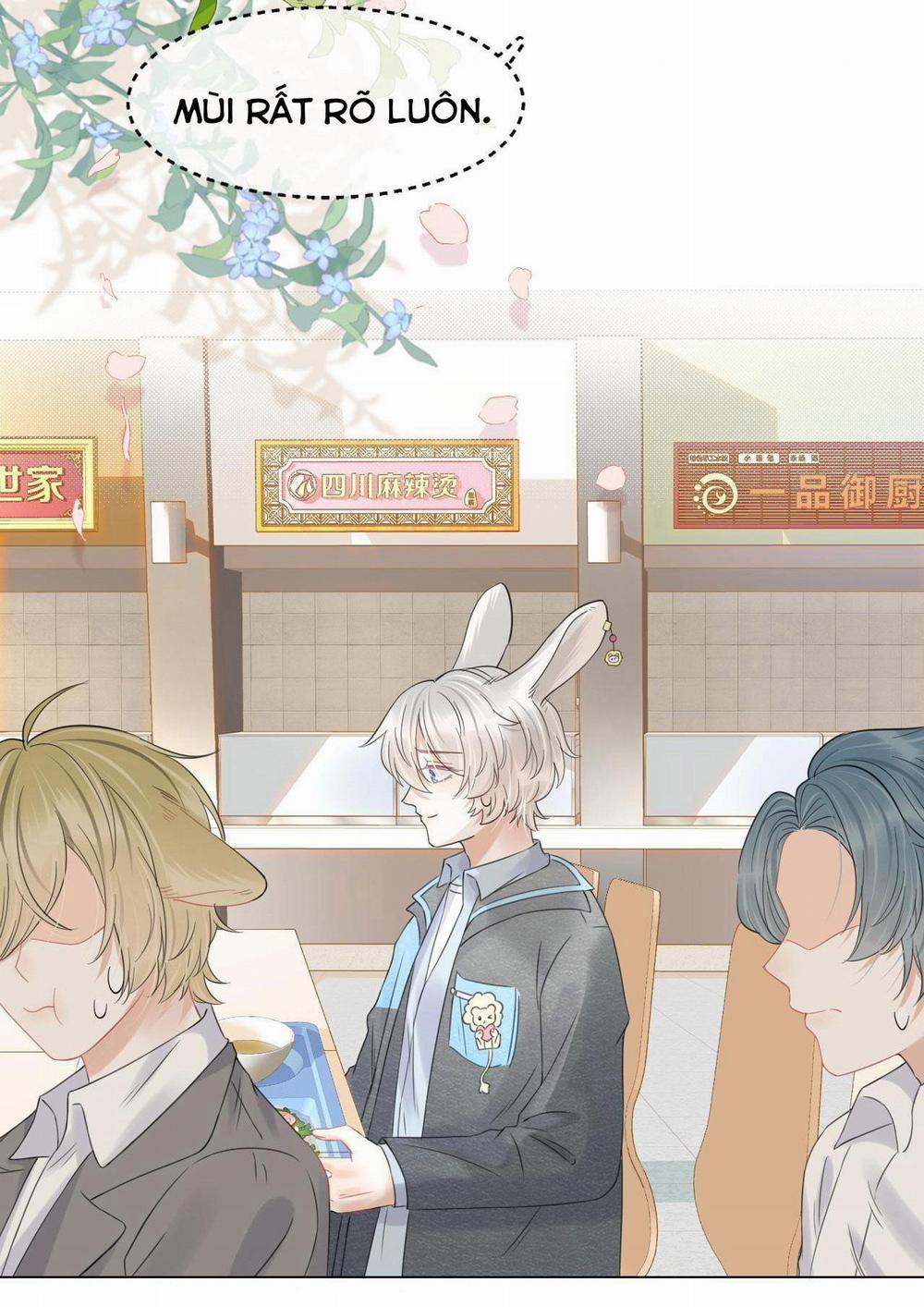 Một Ngụm Ăn Cả Thỏ Con 36 trang 17