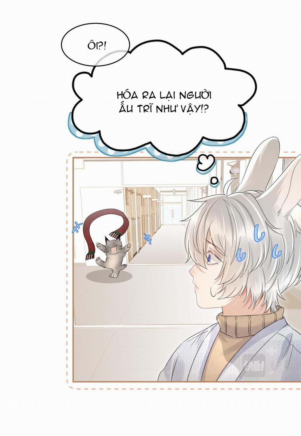 Một Ngụm Ăn Cả Thỏ Con 37 trang 22