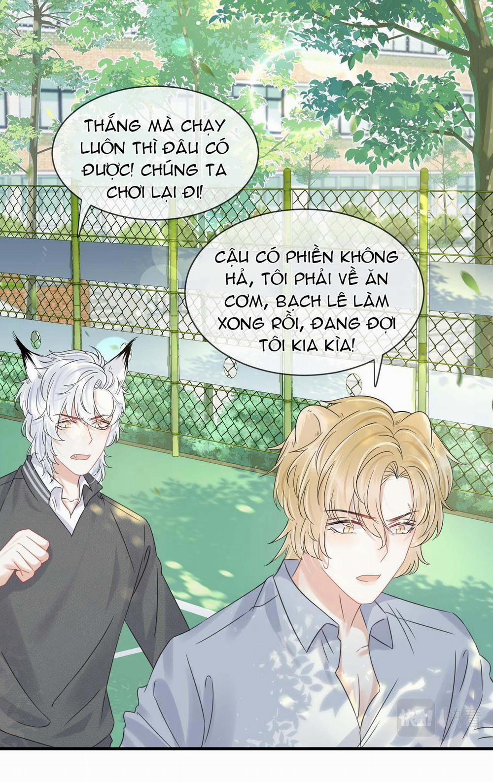 Một Ngụm Ăn Cả Thỏ Con 37 trang 43