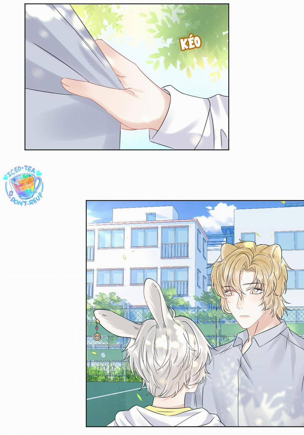 Một Ngụm Ăn Cả Thỏ Con 38 trang 11