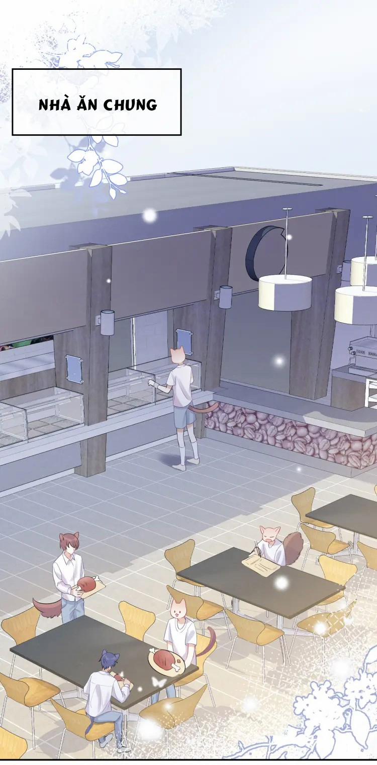 Một Ngụm Ăn Cả Thỏ Con 4 trang 1