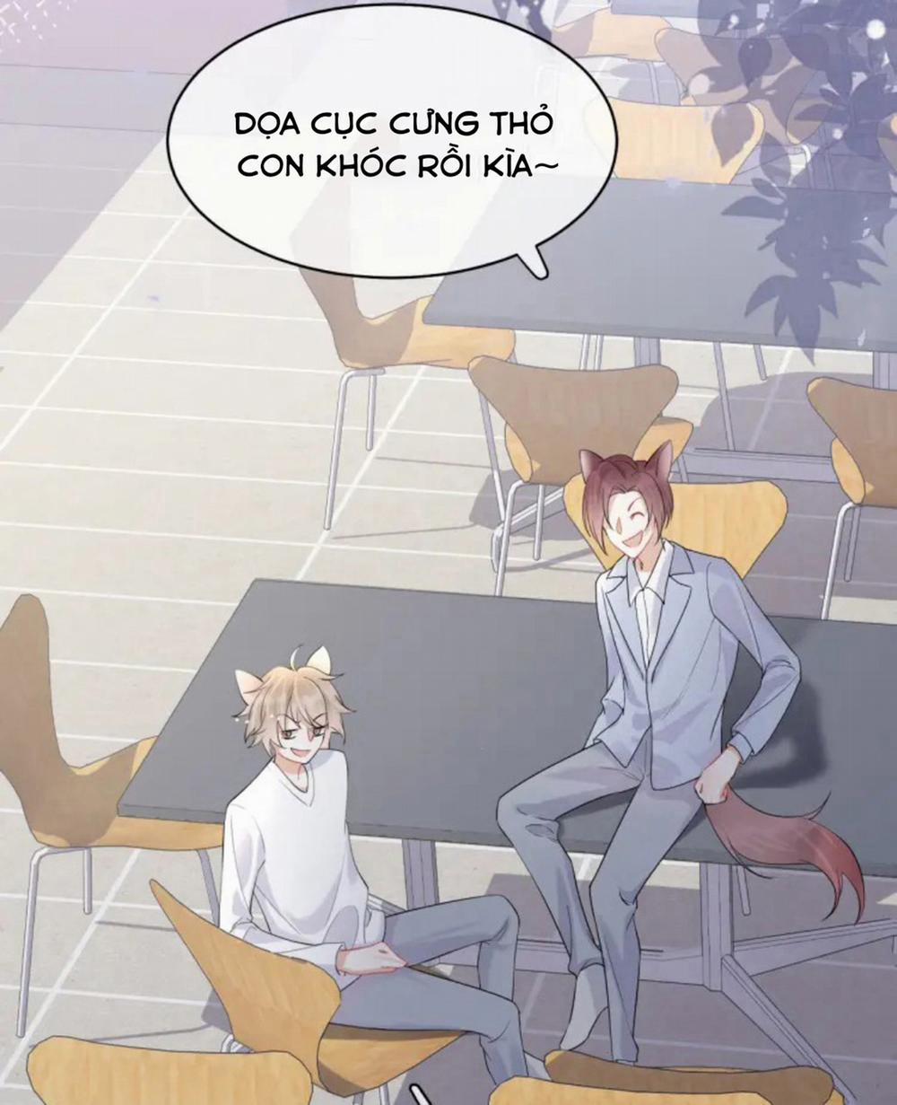 Một Ngụm Ăn Cả Thỏ Con 4 trang 22