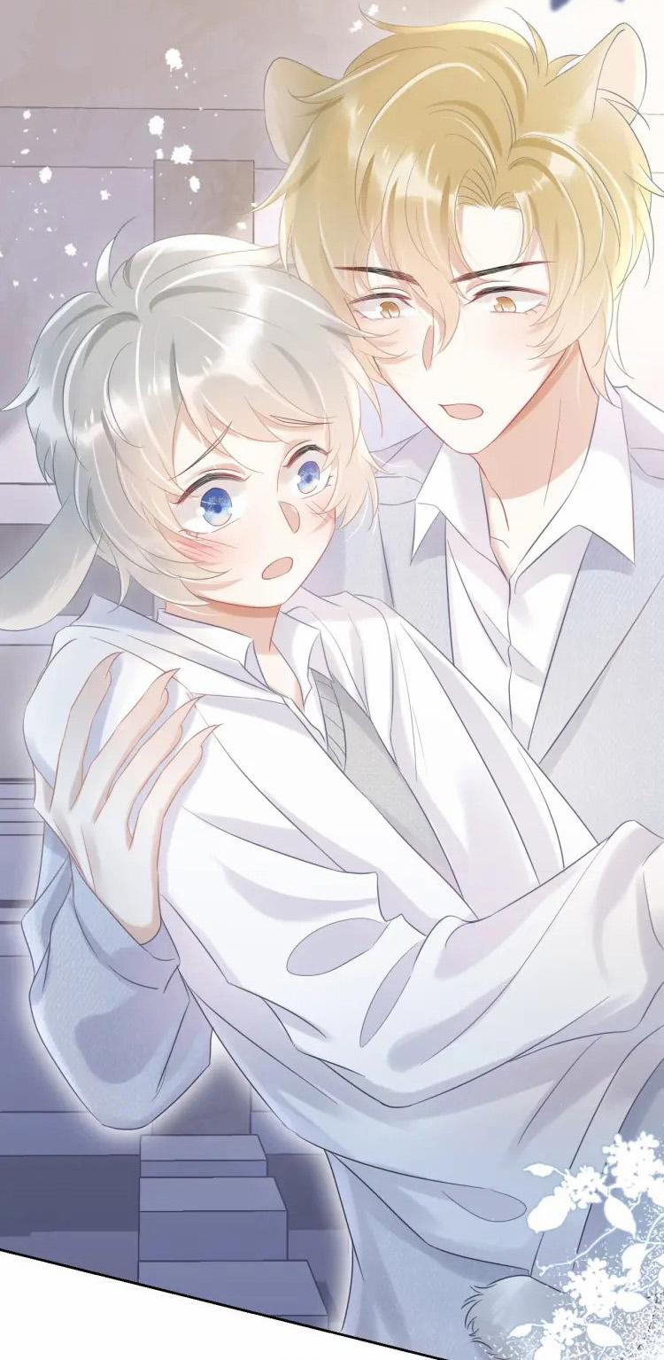 Một Ngụm Ăn Cả Thỏ Con 4 trang 47