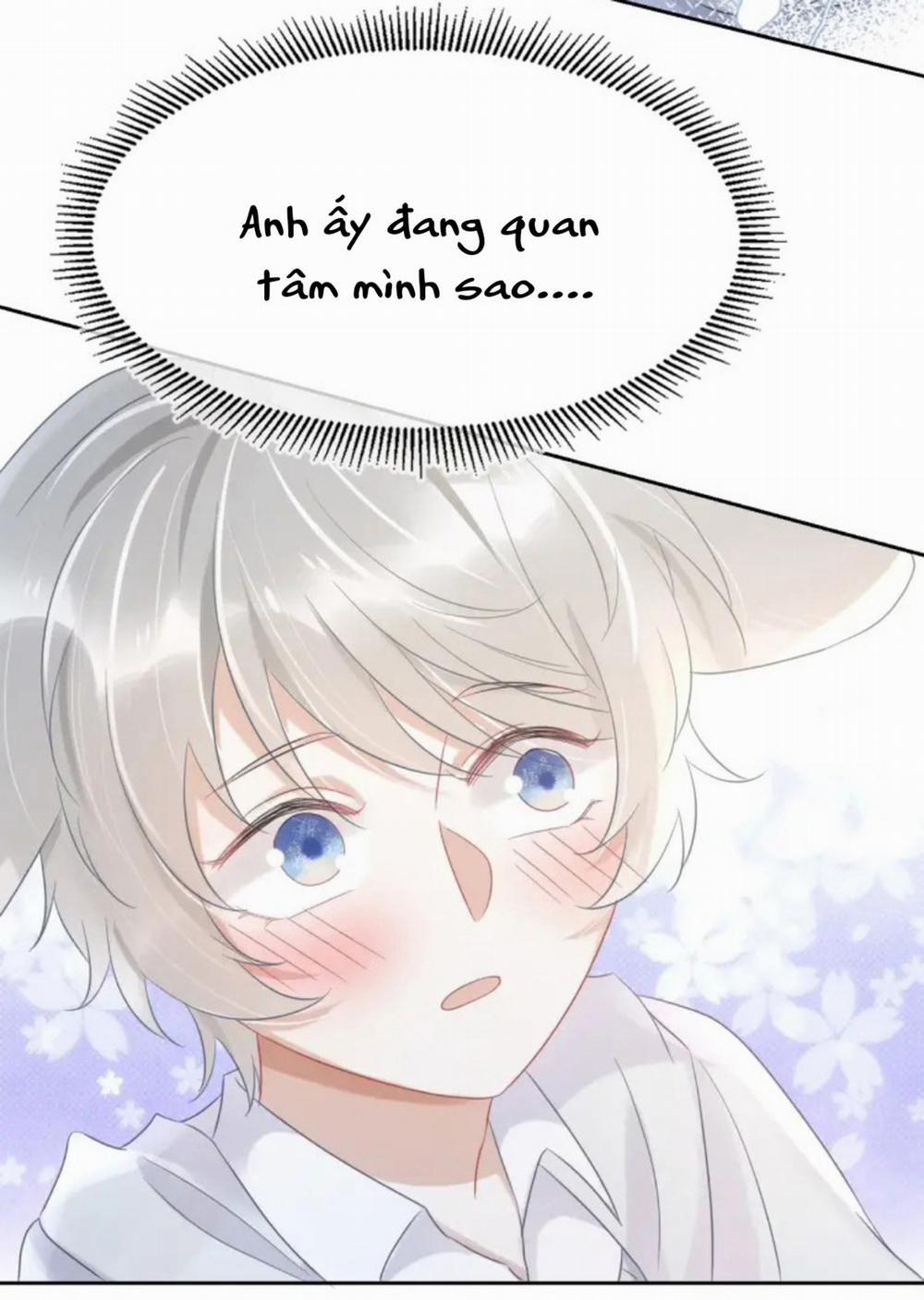 Một Ngụm Ăn Cả Thỏ Con 4 trang 48