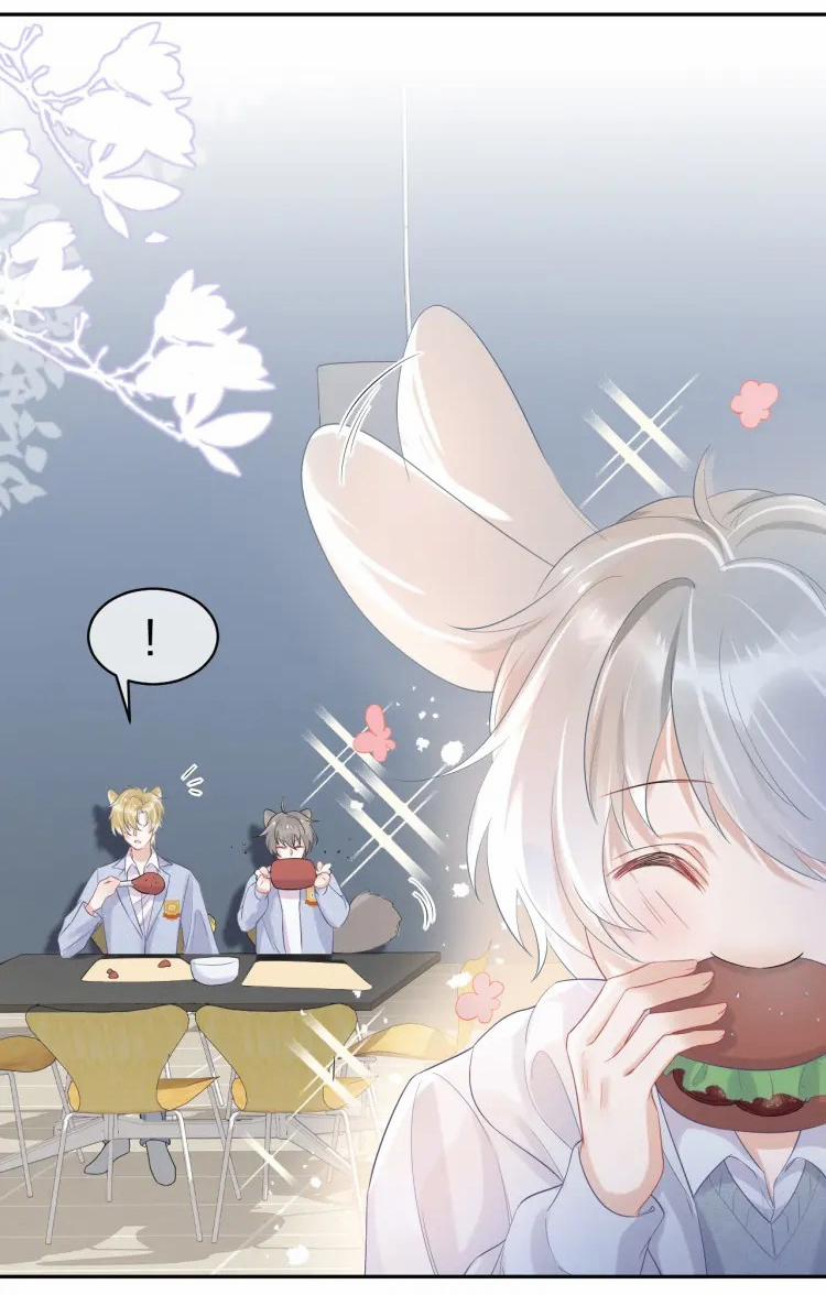 Một Ngụm Ăn Cả Thỏ Con 4 trang 6