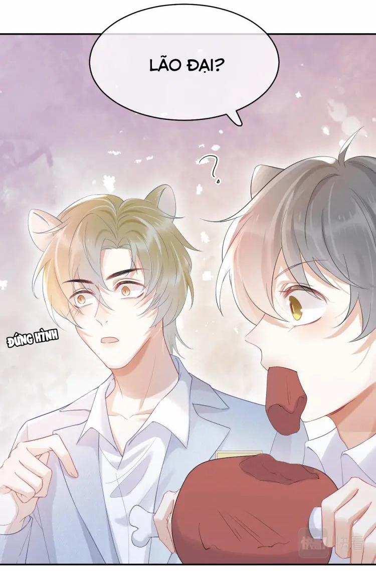 Một Ngụm Ăn Cả Thỏ Con 4 trang 8