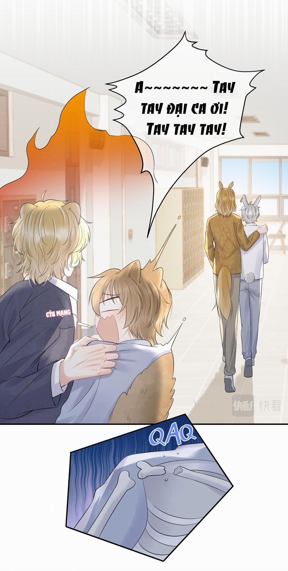 Một Ngụm Ăn Cả Thỏ Con 40 trang 19