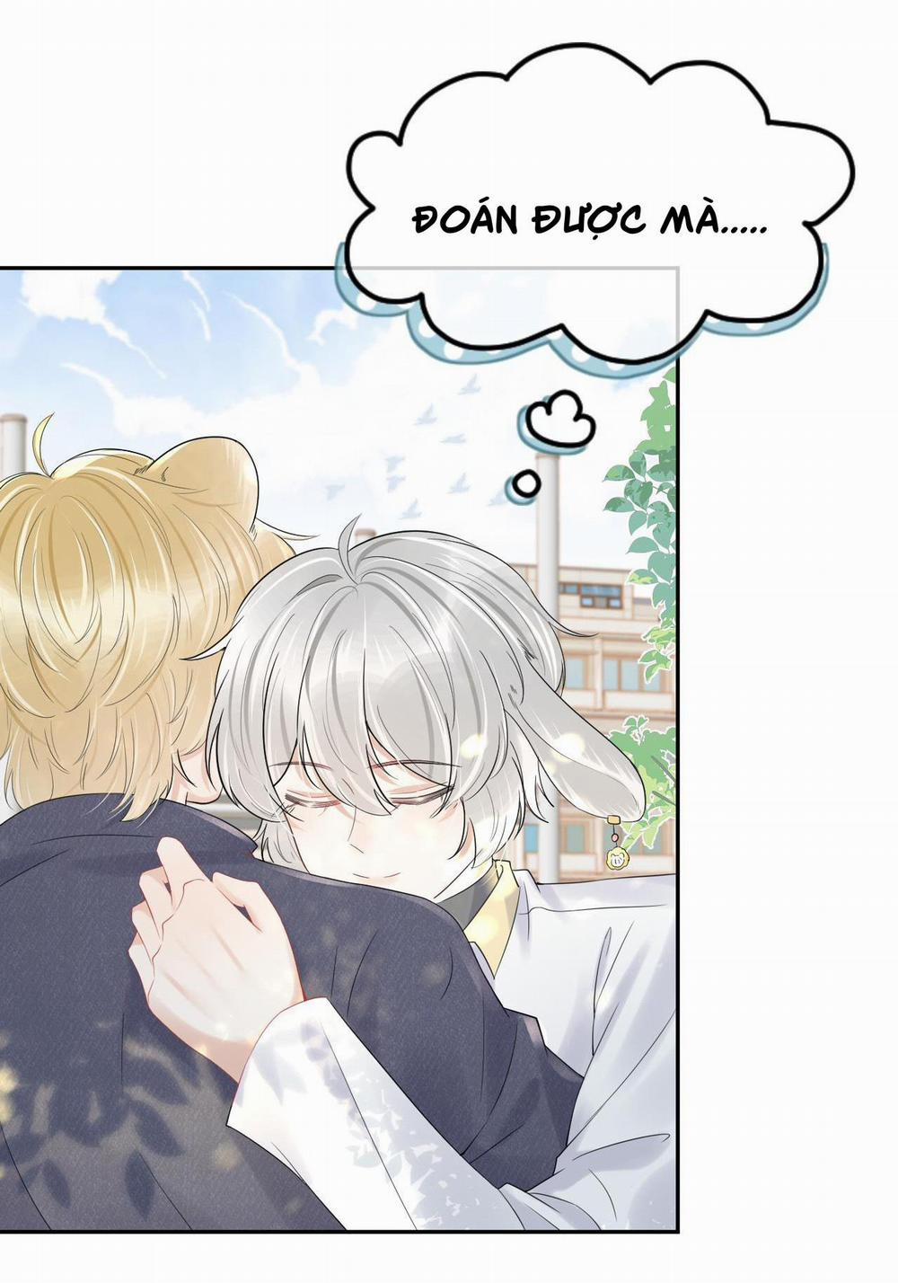 Một Ngụm Ăn Cả Thỏ Con 40 trang 40