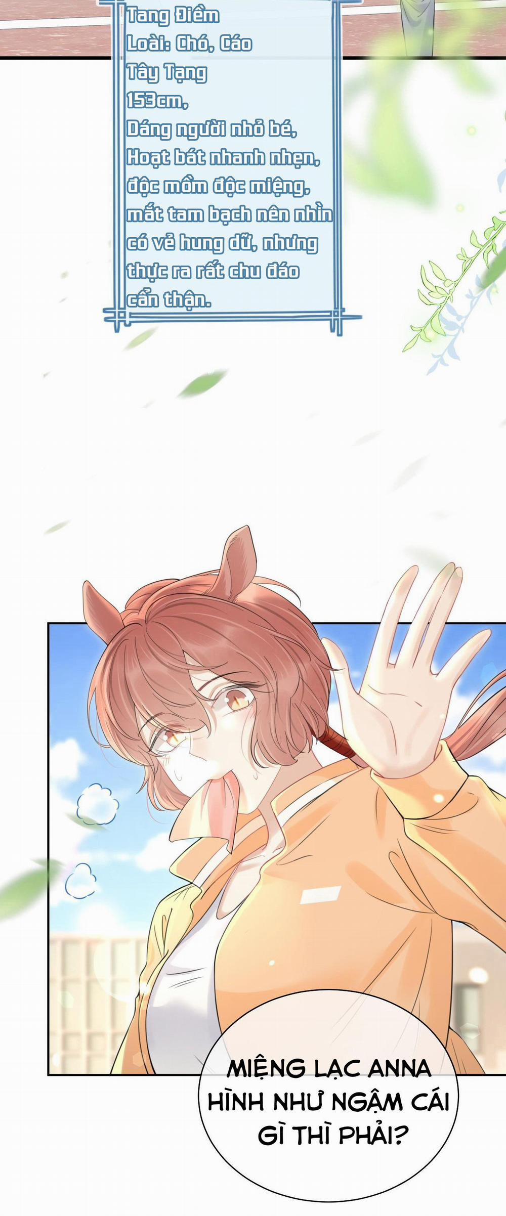 Một Ngụm Ăn Cả Thỏ Con 43 trang 11